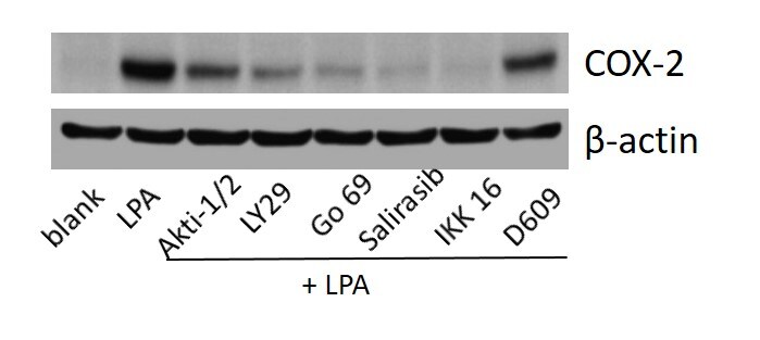 D609 1437